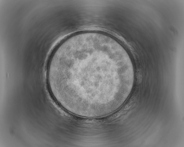 X0000110981416200907101400