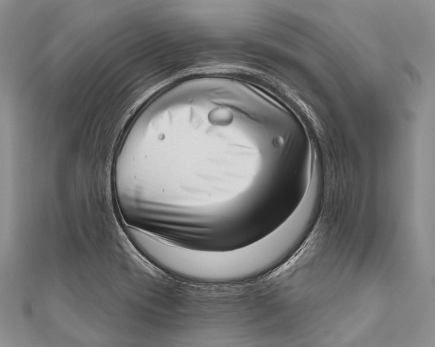 X0000110981417200907101400