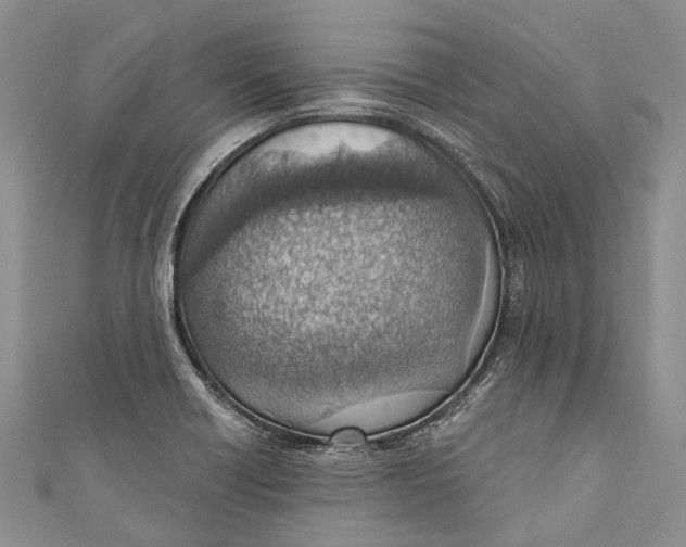 X0000110981418200907101400