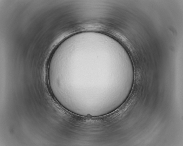 X0000110981419200907101400