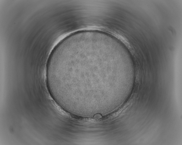 X0000110981420200907101400