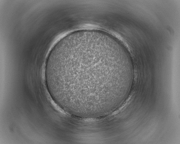 X0000110981421200907101400