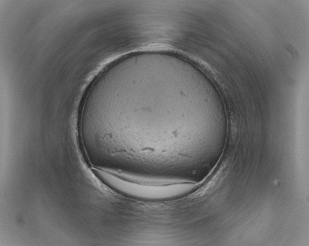 X0000110981422200907101400