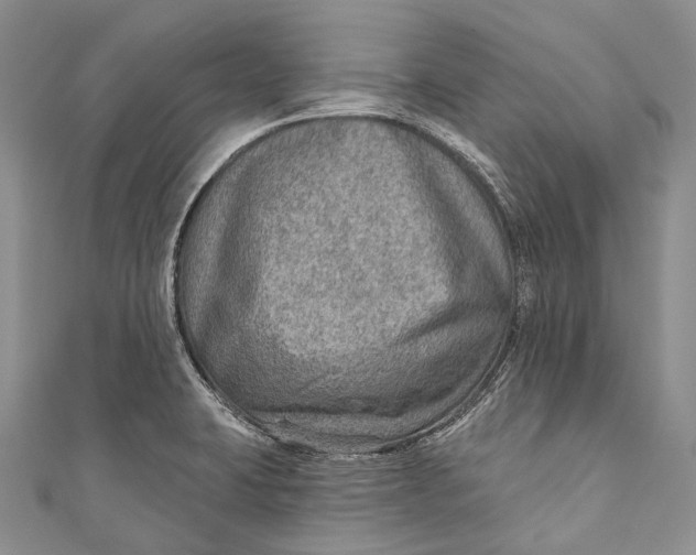 X0000110981423200907101400