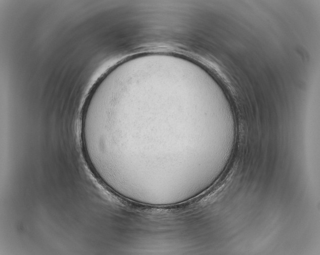 X0000110981424200907101400