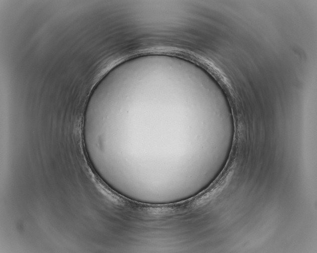 X0000110981425200907101400