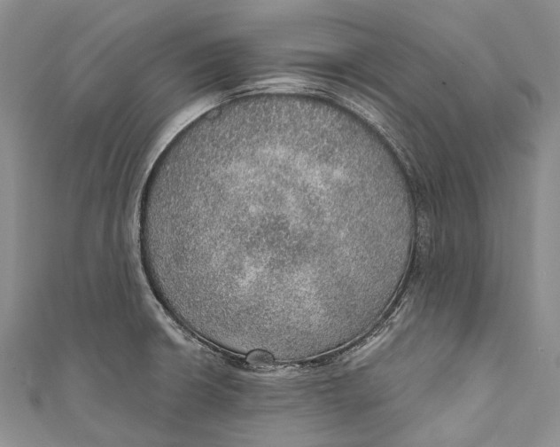 X0000110981426200907101400