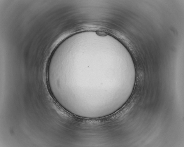 X0000110981427200907101400