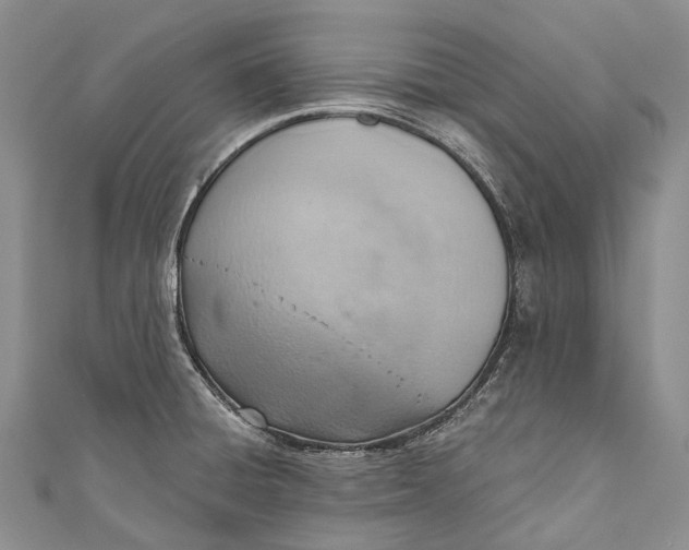 X0000110981428200907101400