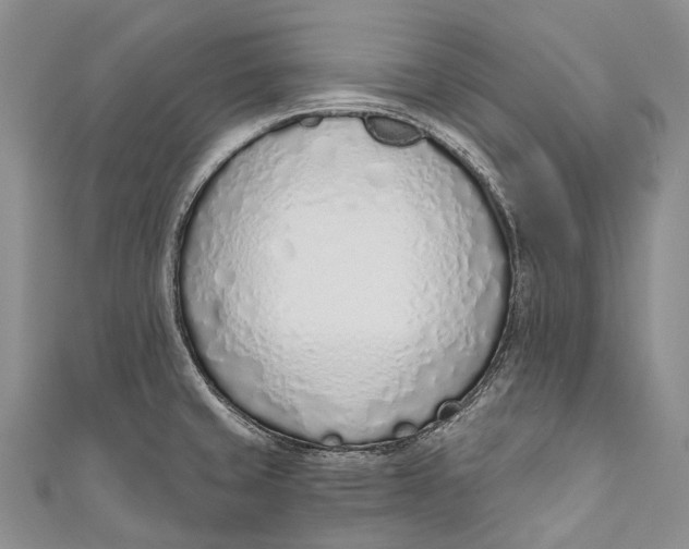 X0000110981429200907101400