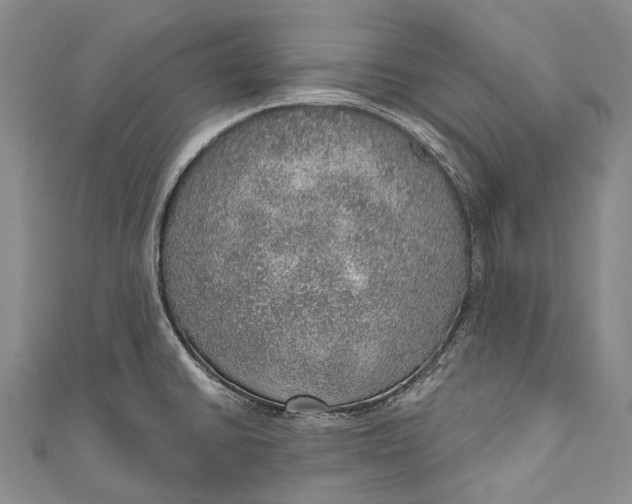 X0000110981430200907101400