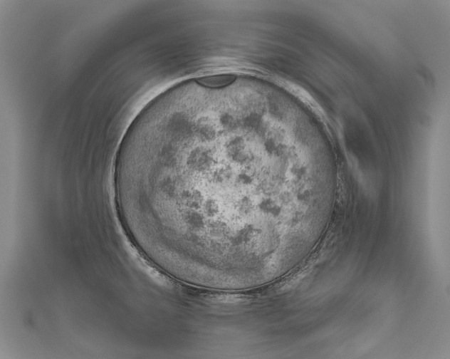 X0000110981431200907101400