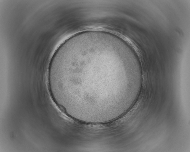 X0000110981432200907101400