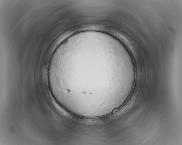 X0000110981433200907101400