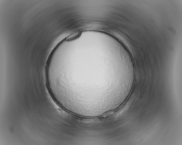 X0000110981434200907101400