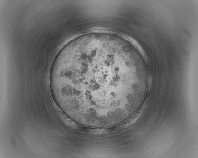 X0000110981435200907101400