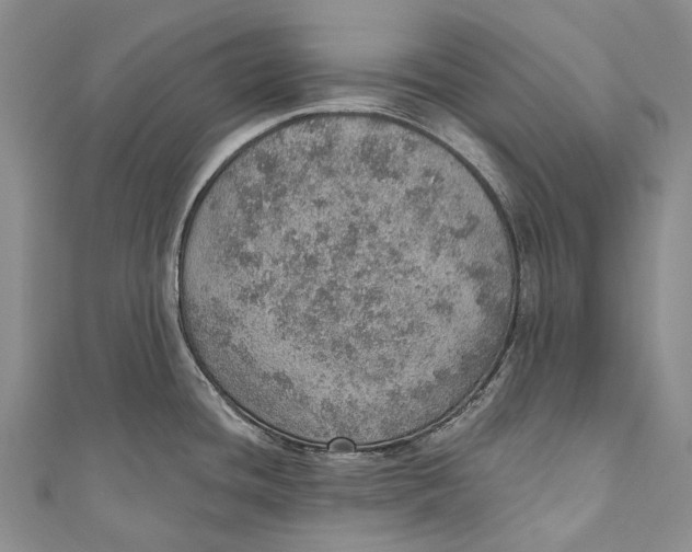 X0000110981436200907101400