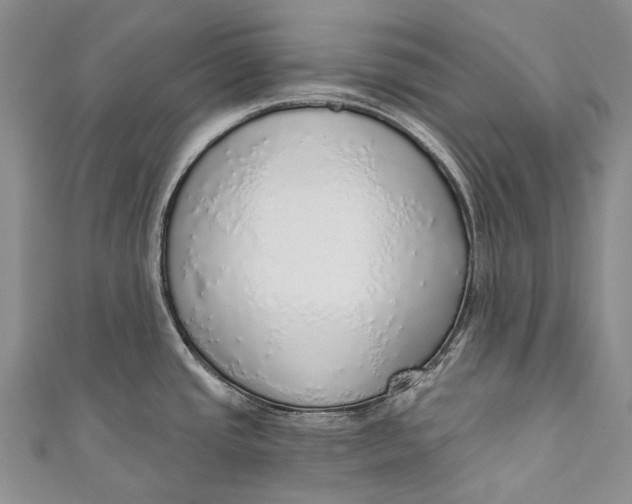 X0000110981437200907101400