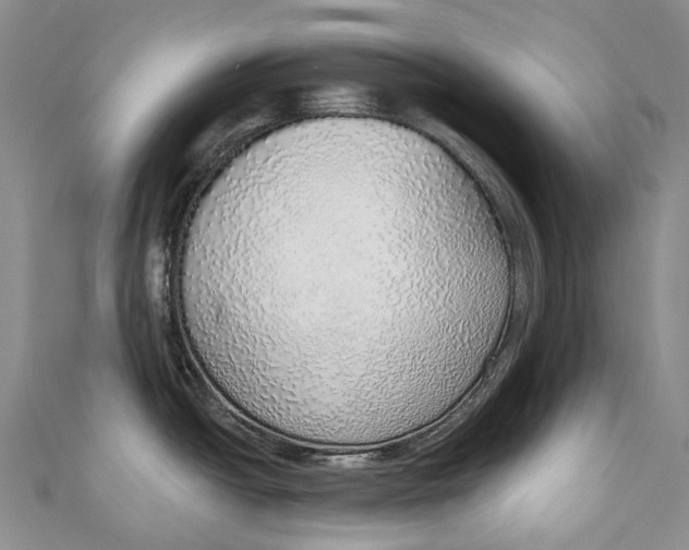 X0000110981438200907101400