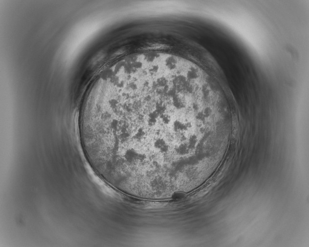 X0000110981439200907101400