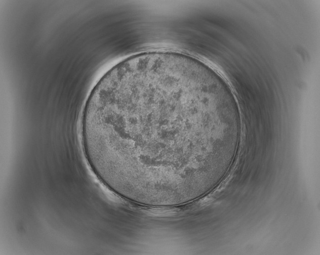 X0000110981440200907101400