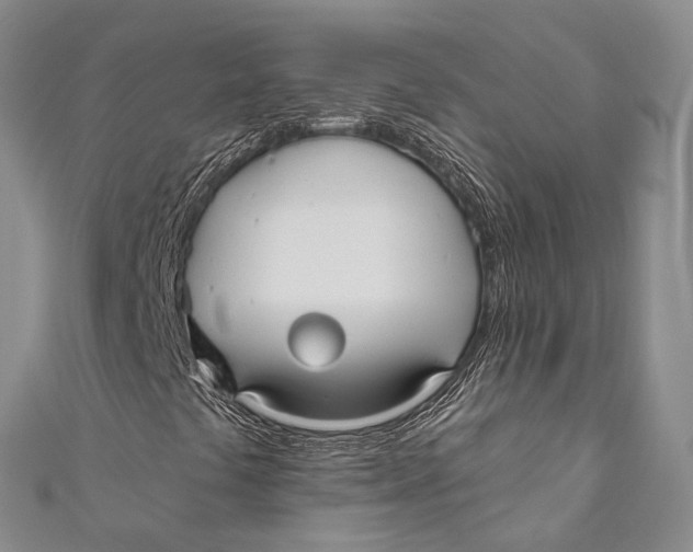 X0000110981441200907101359