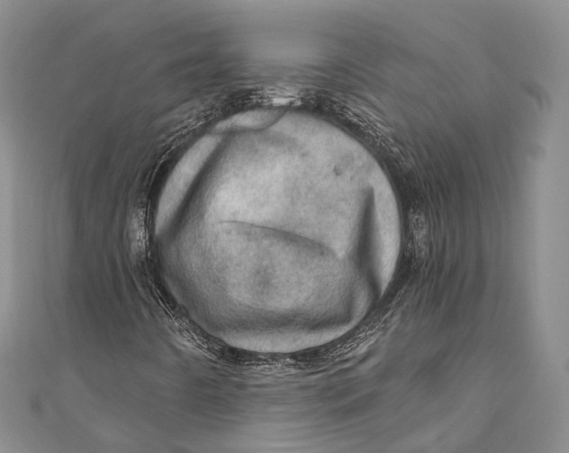 X0000110981442200907101359