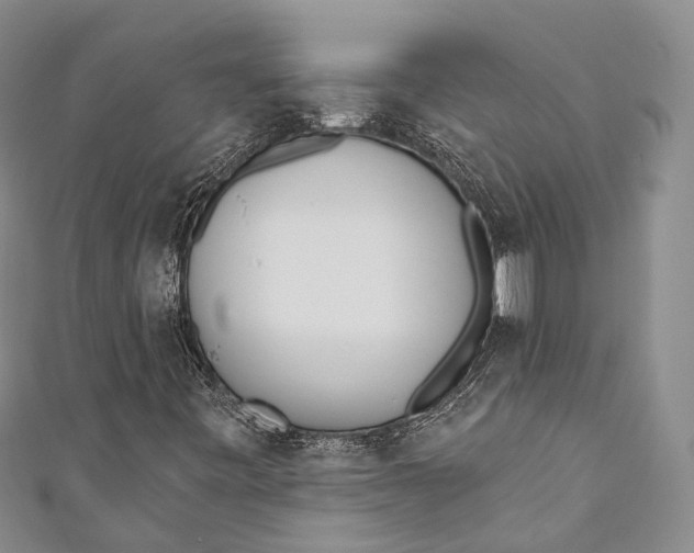 X0000110981443200907101359