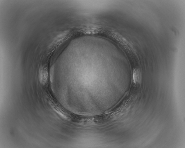 X0000110981444200907101359