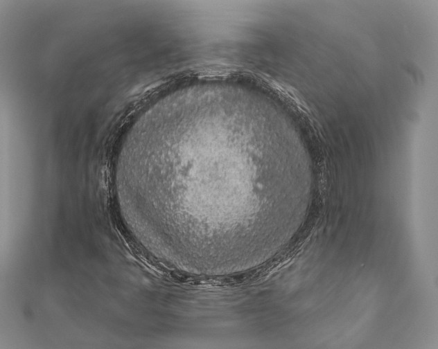 X0000110981445200907101359