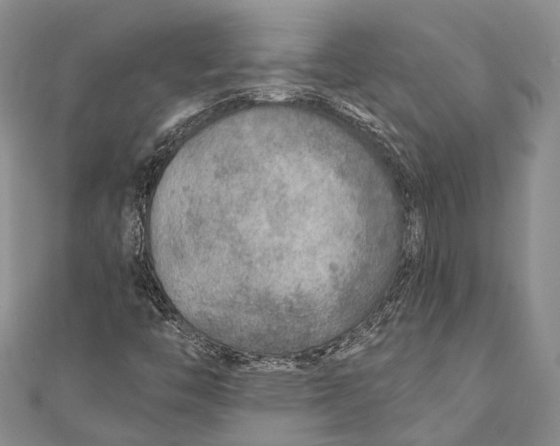 X0000110981446200907101359