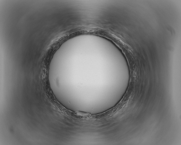 X0000110981447200907101359