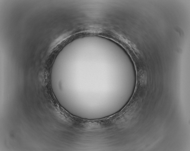 X0000110981448200907101359