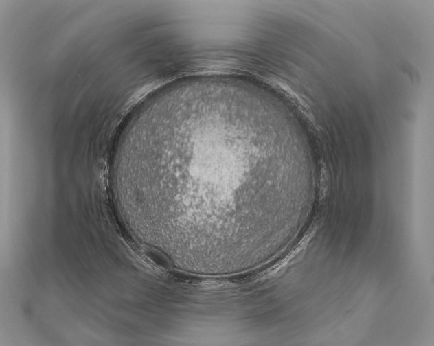 X0000110981449200907101359