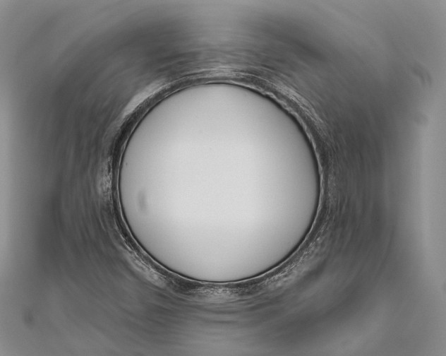 X0000110981450200907101359