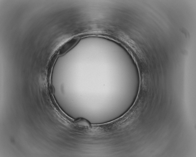 X0000110981452200907101359