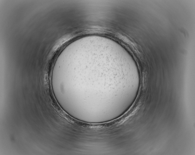 X0000110981453200907101359