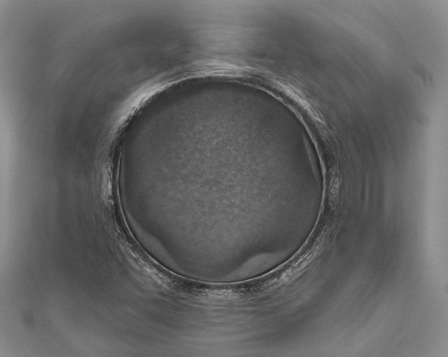 X0000110981455200907101359