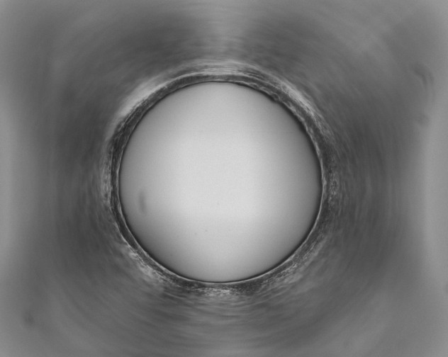 X0000110981456200907101359