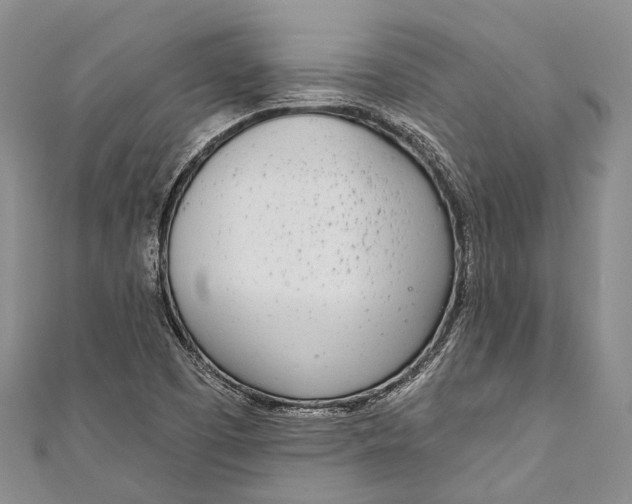 X0000110981457200907101359