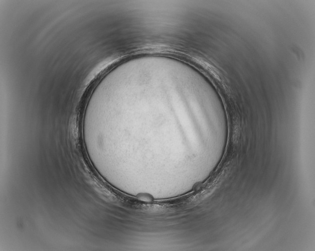 X0000110981458200907101359