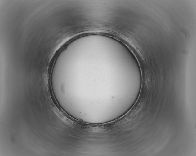 X0000110981460200907101359