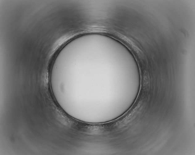 X0000110981461200907101359