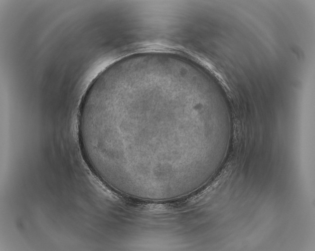 X0000110981463200907101359