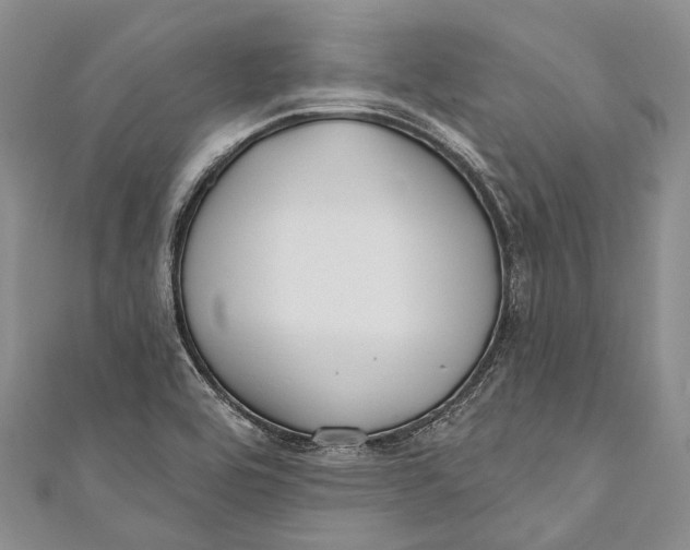 X0000110981464200907101359