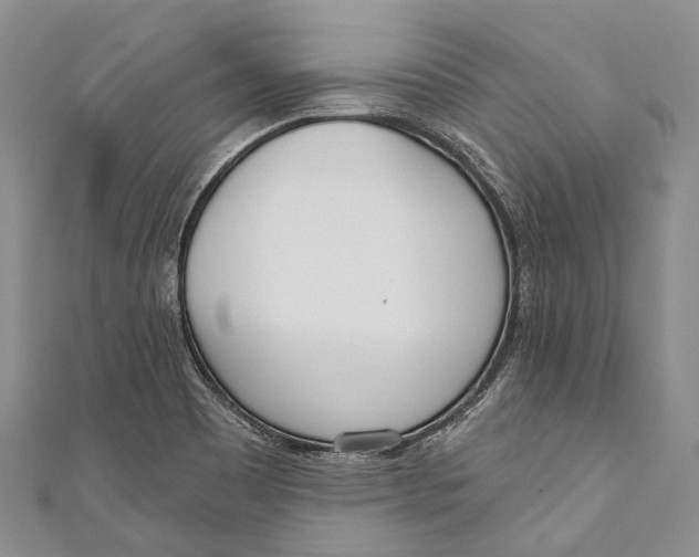 X0000110981465200907101359