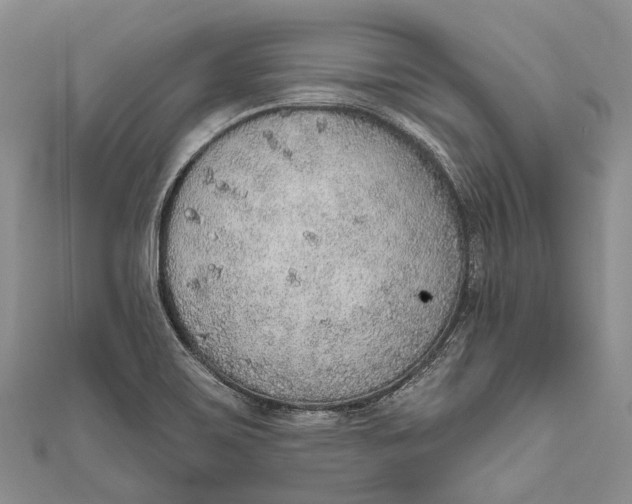 X0000110981467200907101359