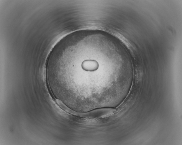 X0000110981468200907101359