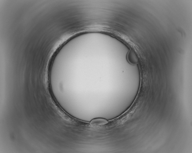 X0000110981469200907101359