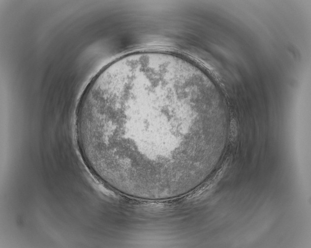 X0000110981470200907101359